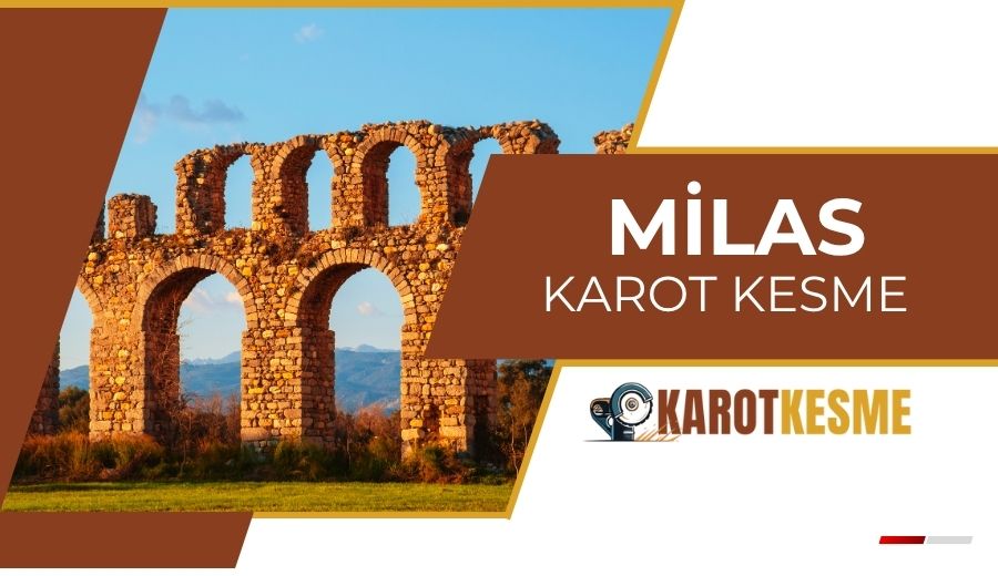 Milas Karot Kesme